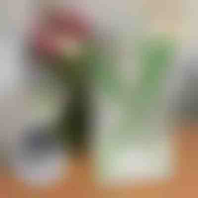 Elegantní váza ve tvaru knihy na květiny | FLOWERFRAME