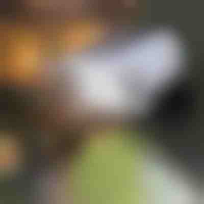 Solární zaměřovač se snímačem pohybu | LUMACAM