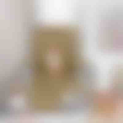 Potah křesla | LUXSIT