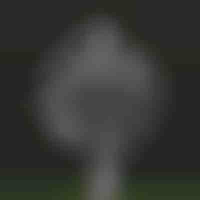 Zahradní kouzelný kinetický větrný mlýn | WINDARA