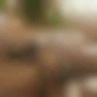 Magnetický samolepicí organizér kabelů | CABLIP